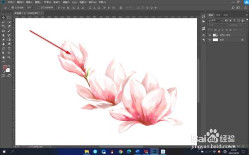 PS如何更改透明背景图片的颜色