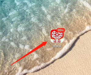 手机版拼多多如何查看绑定的第三方账号
