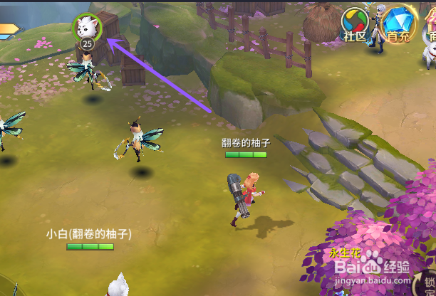 风色世界如何宠物洗髓