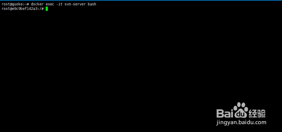 Docker中安装配置SVN服务器