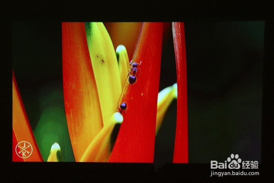 坚果G3智能家庭影院投影仪评测
