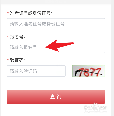 中考如何报名
