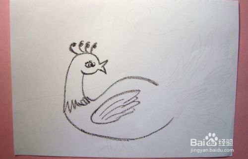 蜡笔如何画漂亮的小孔雀