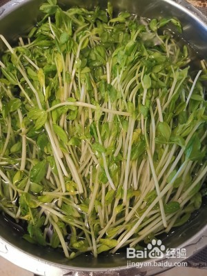 怎么做美味可口的火腿虾仁豆苗