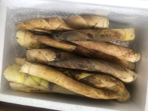 美味油焖春笋的做法