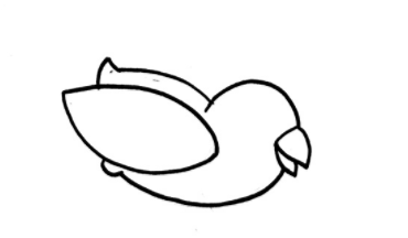 怎么画QQ红包鸟