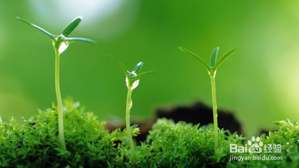 在家办公怎么保护眼睛?