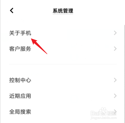 vivoy55s处理器是什么