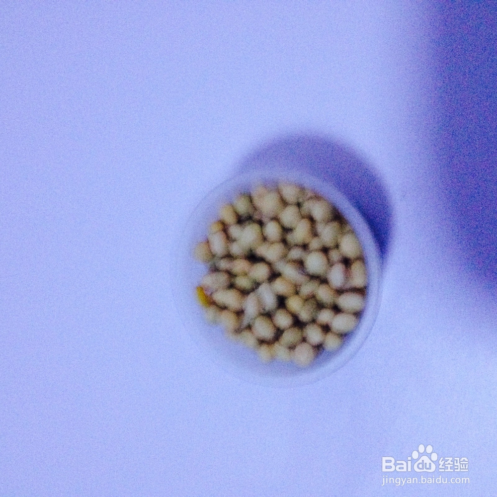 我是这样做养生豆浆的