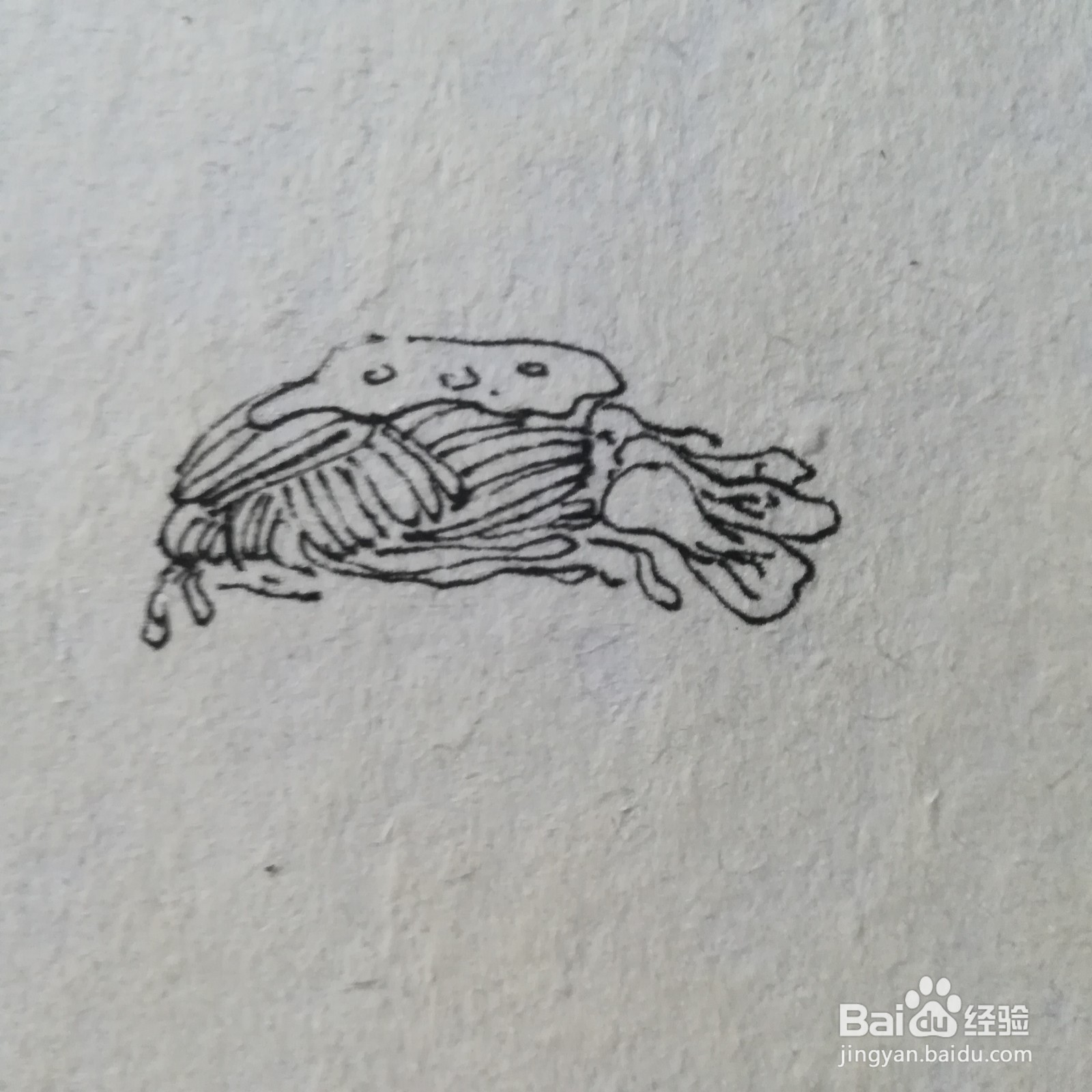 怎么画炒面简笔画