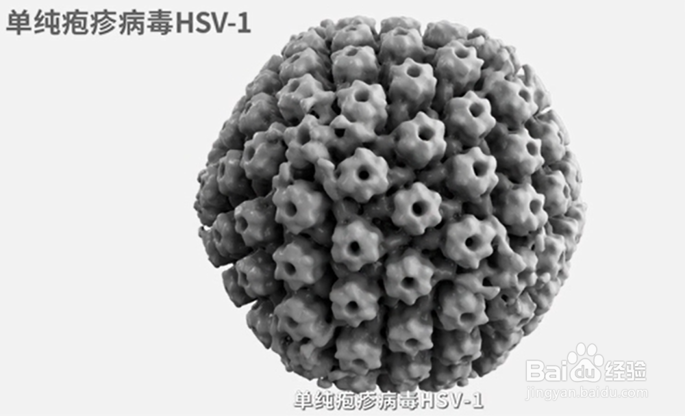 嘴上为什么会起水疱?