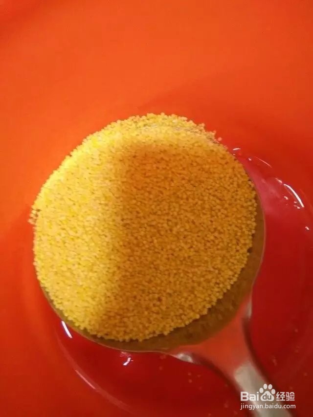 小米红枣营养粥，手把手教你做小米粥，简单易学