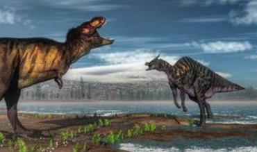 为什么史前动物都那么大