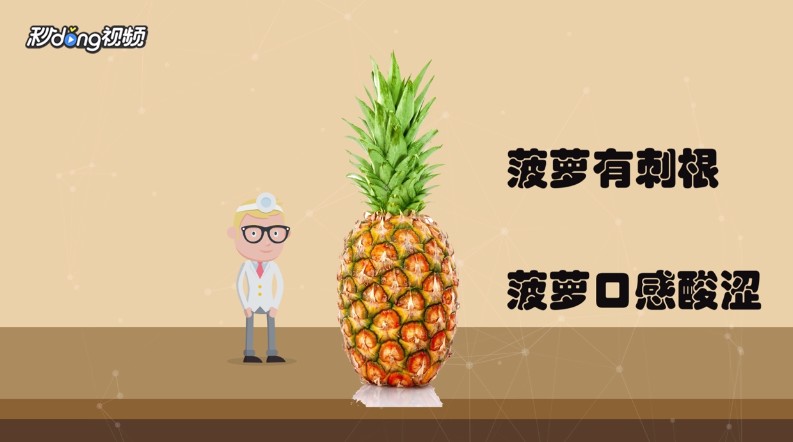 凤梨和菠萝有什么区别