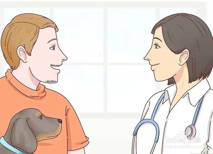 怎样才能增加狗狗的食欲?