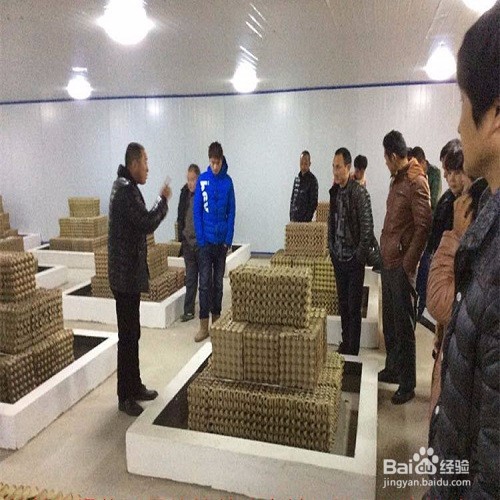 蝎子养殖 蝎子的价值和用处