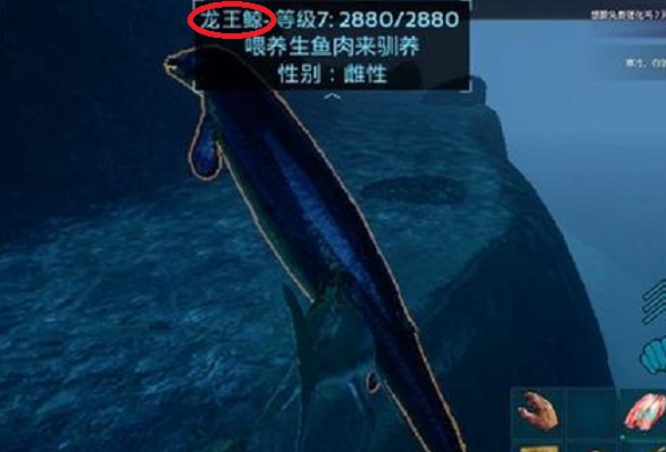 方舟生存进化龙王鲸怎么驯服 龙王鲸吃什么饲料