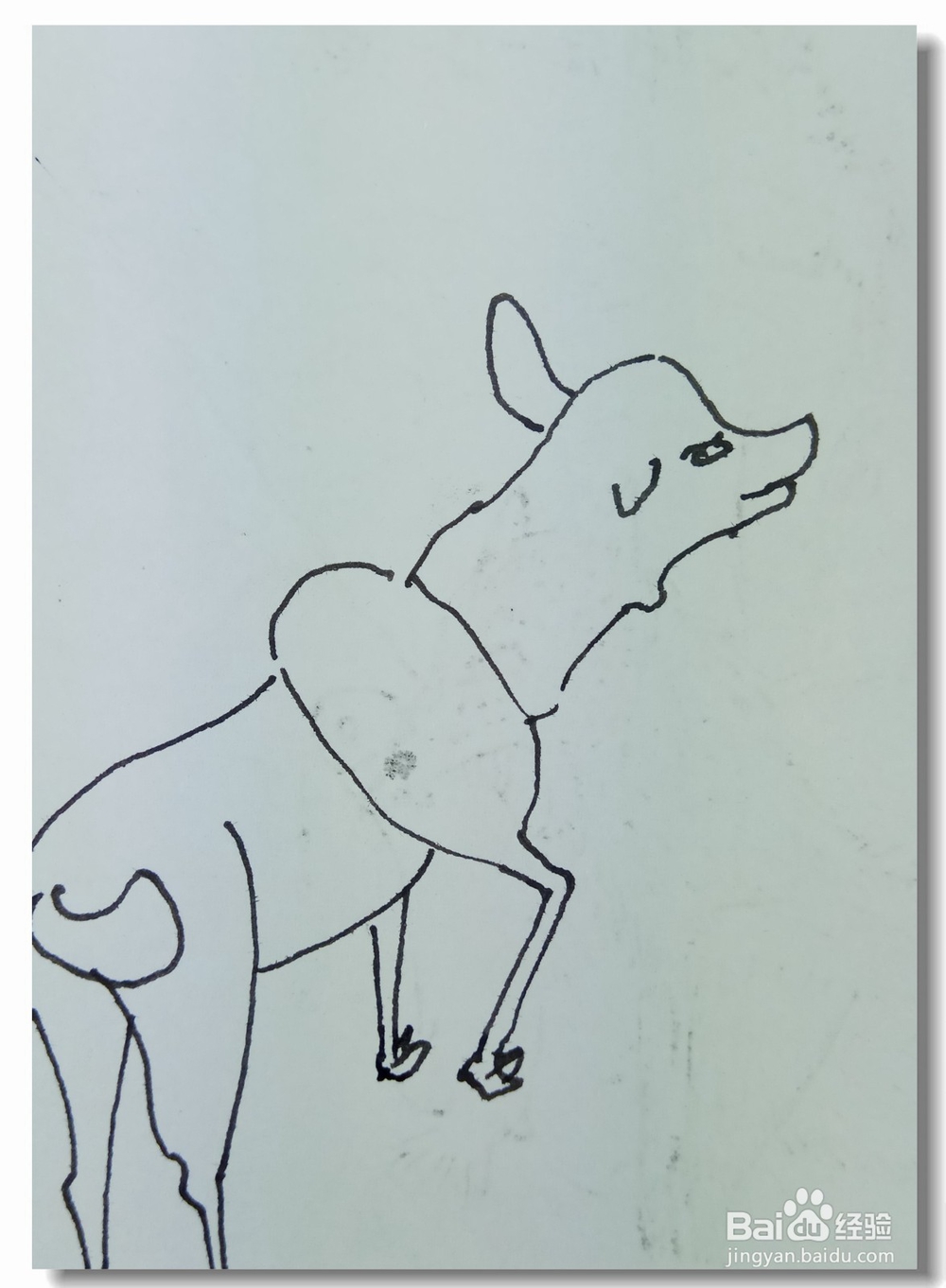 怎样画钢笔画“寻鹿”？