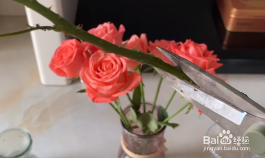 鲜花蔫了怎么快速急救