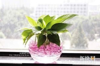 IT一族、办公室一族怎样减少辐射？