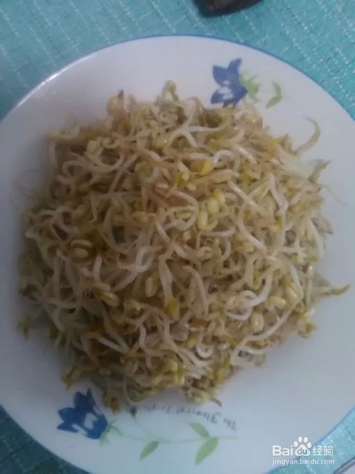 自己在家一周内发出无毒绿豆芽