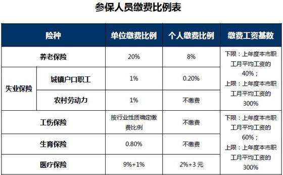 2015年天津社保个人与公司缴费比例是多少