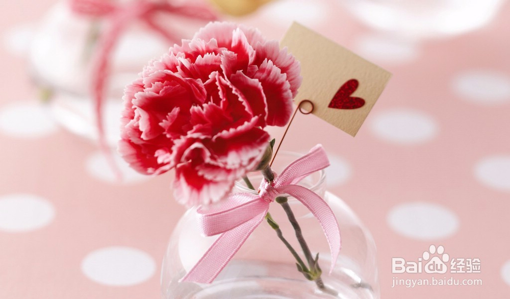 康乃馨的养殖方法注意事项