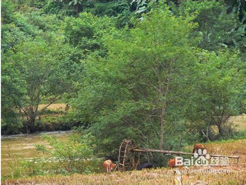 横头山一日游攻略