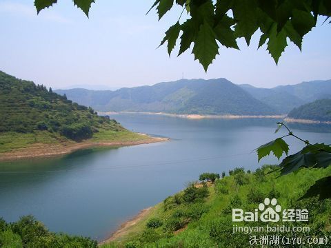 新昌十一旅游攻略