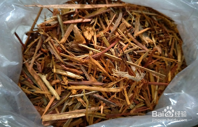 猫须草的正确服用方法