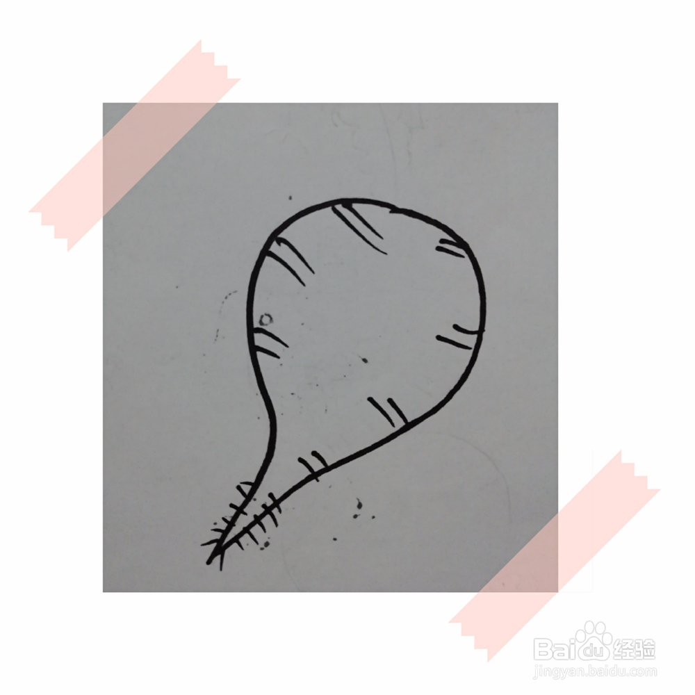 儿童简笔画教程画萝卜