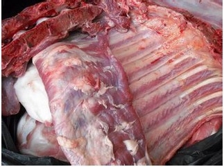 怀孕期间的那些事