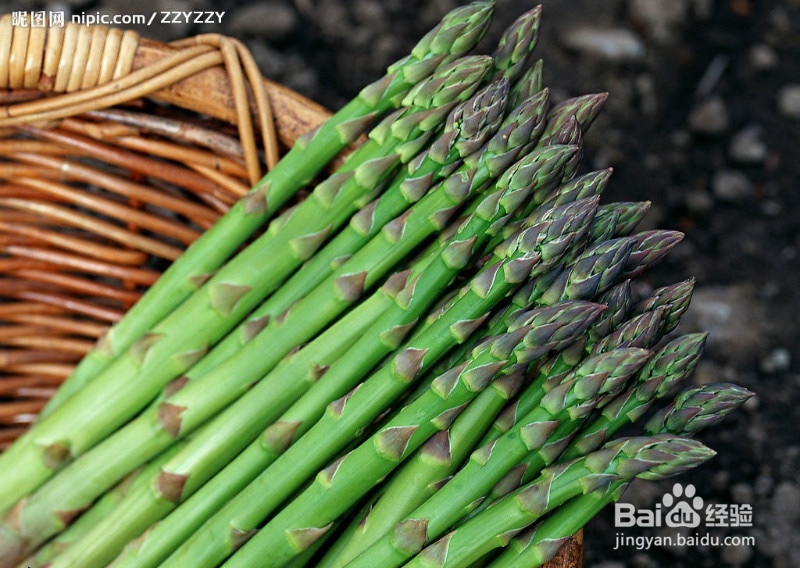 食物的真相大白