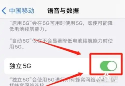 如何设置启用苹果独立5G