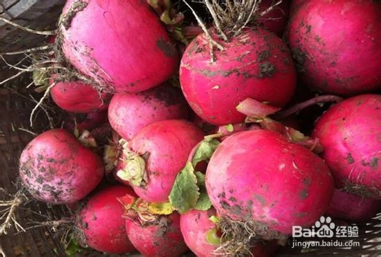 红烧旱萝卜的做法