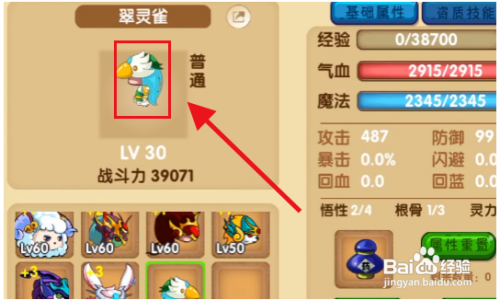 造梦无双如何抓高星宠物