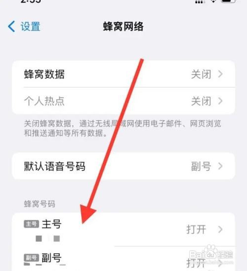 苹果如何输入PIN码