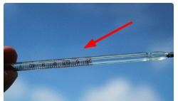 麒麟花的养殖方法和注意事项