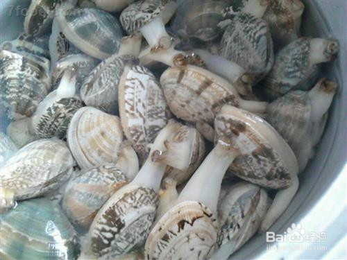 花甲怎么洗干净?怎么去沙?