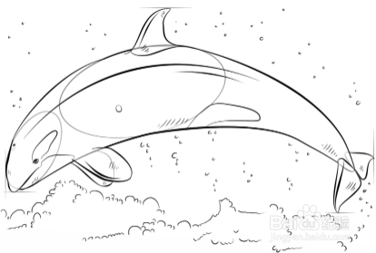 怎么画虎鲸跃出水面图片