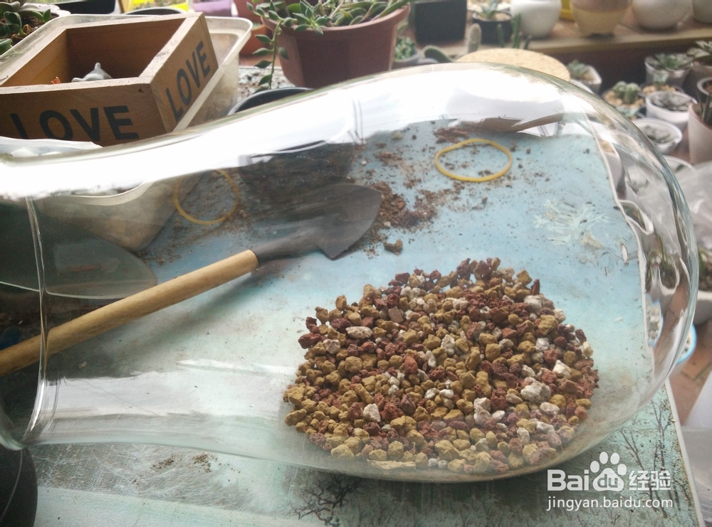 苔藓植物微景观制作步骤