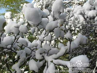 济南大学马武寨山攻略