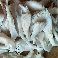 平菇豆腐汤的美味做法