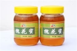 吉林种什么树好?