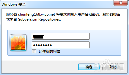 SVN客户端的安装和运行