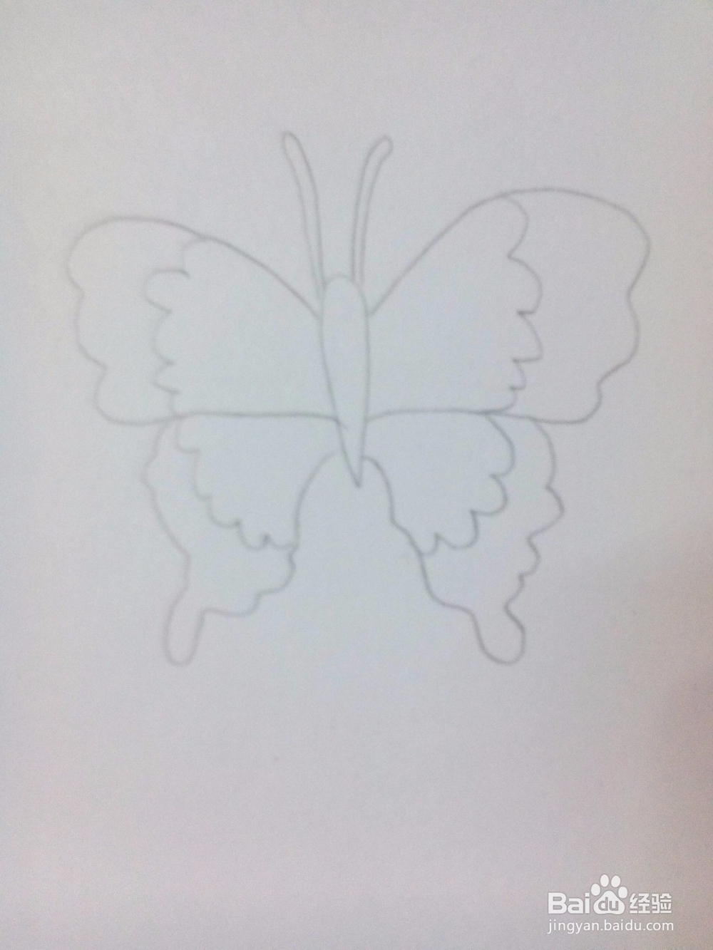 简笔画——蝴蝶