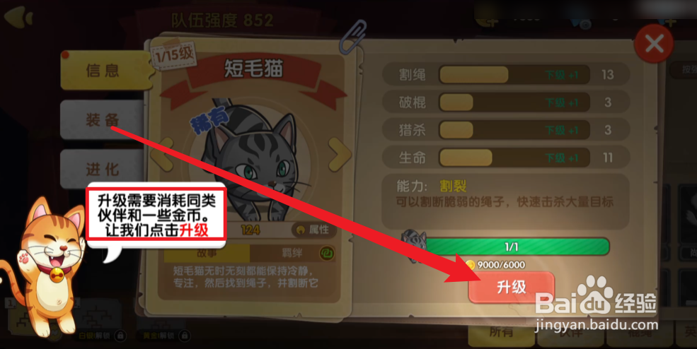 狗狗呼叫喵星怎么升级短毛猫