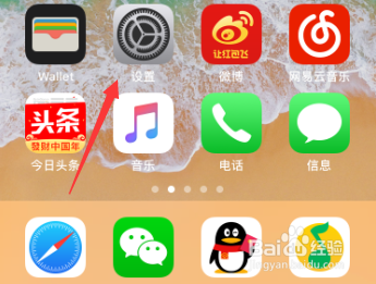 苹果手机iPhone怎么禁止流量更新软件