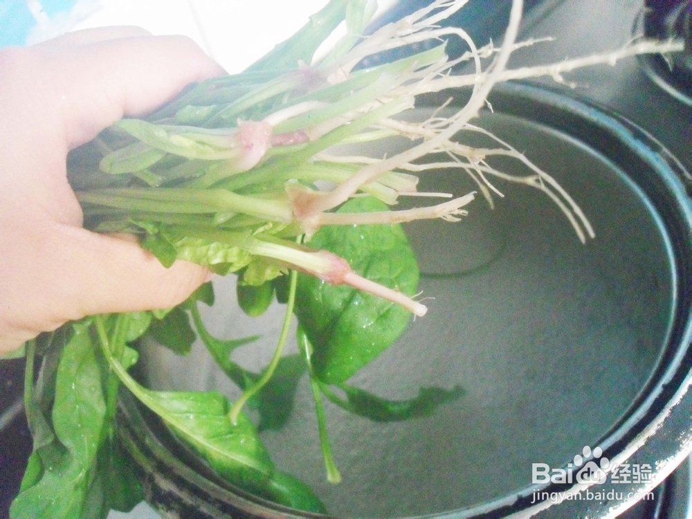 宝宝的花样早餐——菠菜炖蛋
