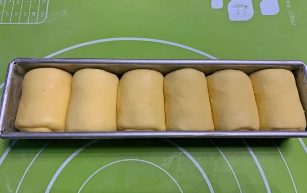 布里欧修蘑菇头版